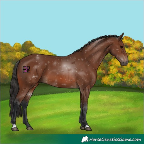 Horse Color:Brown 