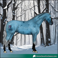 Horse Color:ERROR: UNKNOWN ANOMALY