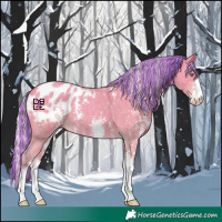 Horse Color:Platinum Painted Silver Amber Champagne Sabino Appaloosa