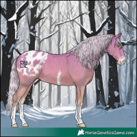 Horse Color:Watercolor Silver Amber Champagne Sabino Appaloosa 