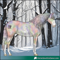 Horse Color:Platinum Nacre Silver Amber Cream Champagne Sabino 