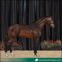 Horse Color:Gray Bay