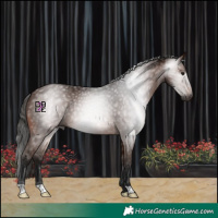 Horse Color:Gray Bay