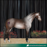 Horse Color:Gray Bay