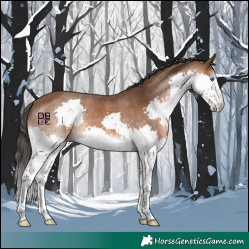 Horse Color:Bay Splash