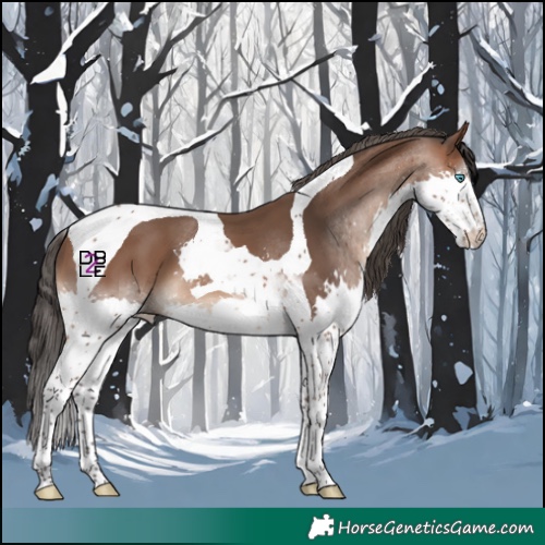 Horse Color:Bay Splash Tobiano 