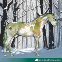Horse Color:Watercolor Buckskin Splash Tobiano