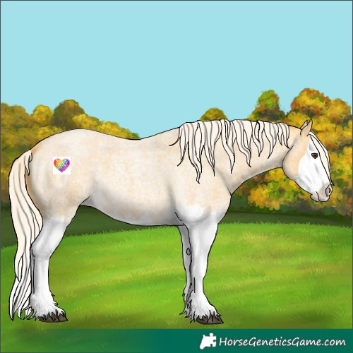 Horse Color:Palomino Roan Splash 