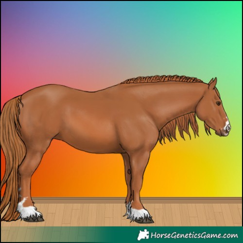 Horse Color:Chestnut 