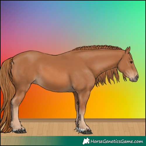 Horse Color:Chestnut 