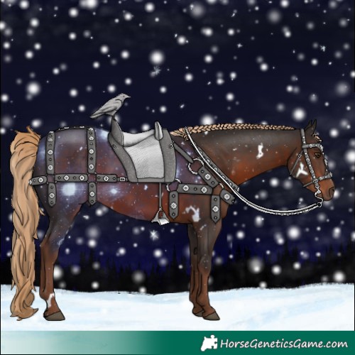 Horse Color:White Spotted Liver Chestnut Rabicano 