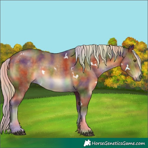 Horse Color:Nacre White Spotted Chocolate Palomino 