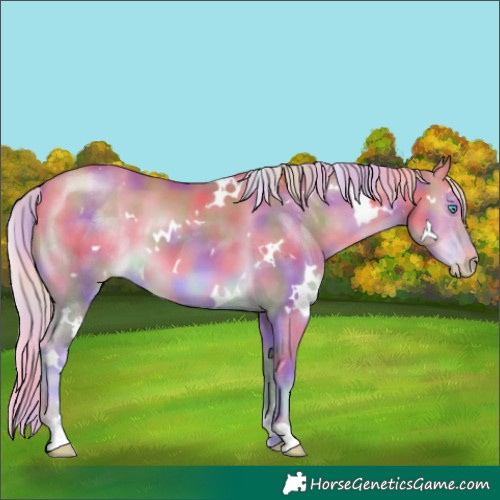 Horse Color:Nacre White Spotted Cremello 