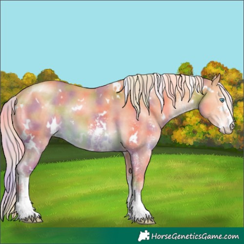 Horse Color:Nacre White Spotted Cremello Sabino 