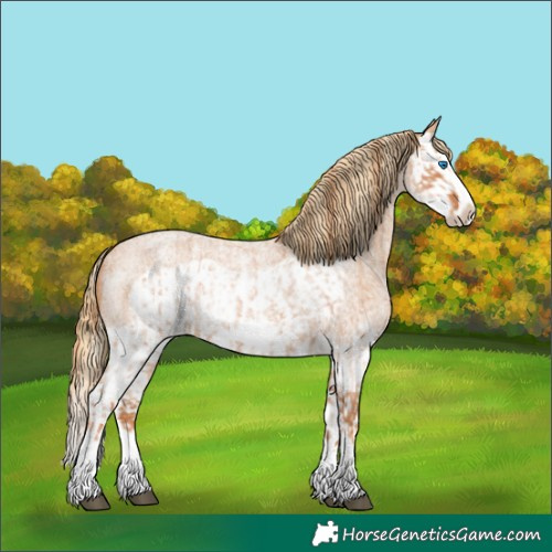 Horse Color:Red Roan Splash Frame and Red Roan Splash Frame
