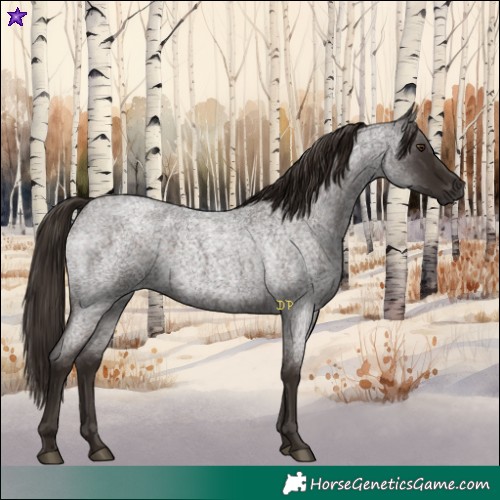 Horse Color:White Spotted Liver Red Roan 
