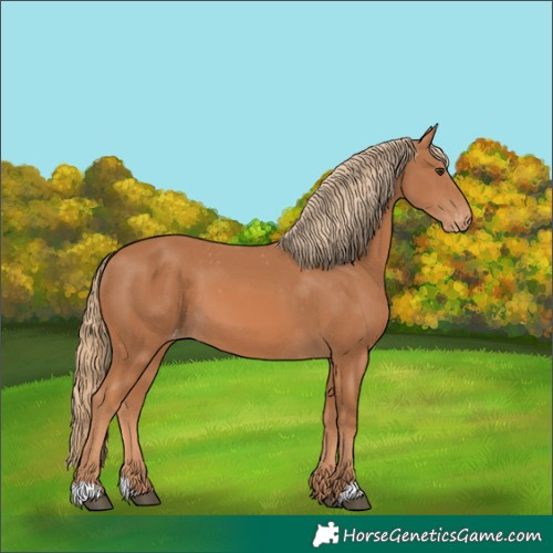 Horse Color:Chestnut Varnish