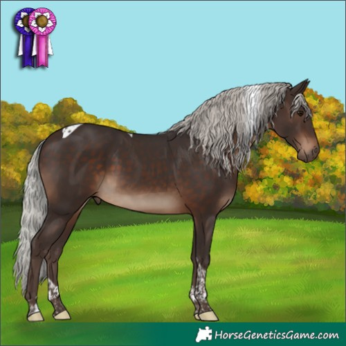 Horse Color:Silver Brown Tobiano 