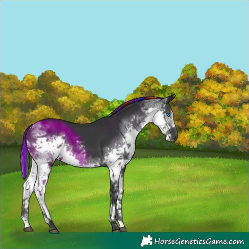 Horse Color:Painted White Spotted Black Splash Tobiano 