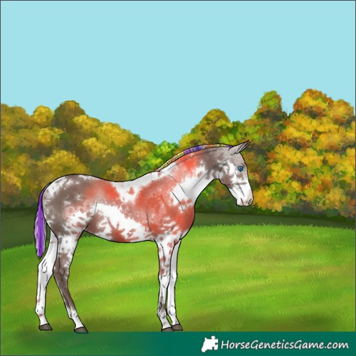 Horse Color:Painted Silver Black Splash Tobiano 