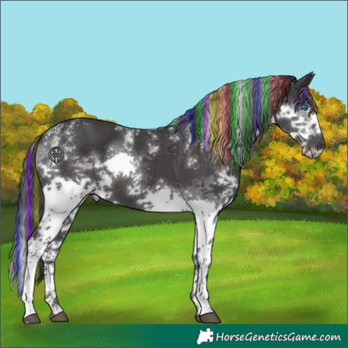 Horse Color:Powder White Painted White Spotted Black Splash 