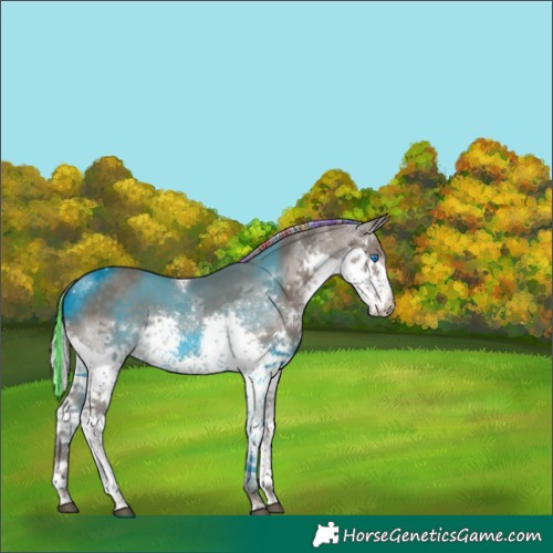 Horse Color:Painted Silver Black Splash Tobiano 