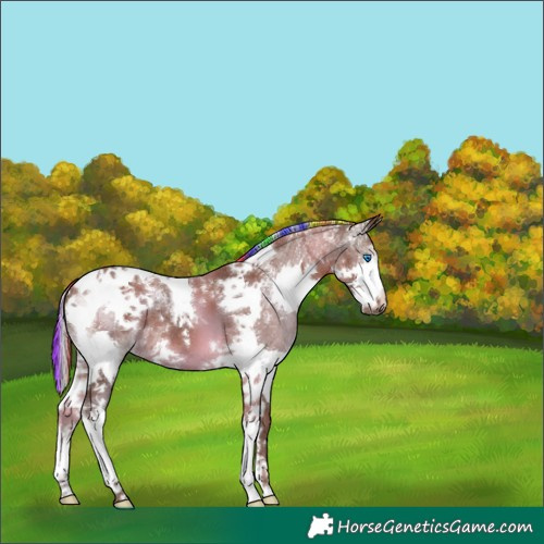 Horse Color:Powder White Painted Silver Black Splash Tobiano 