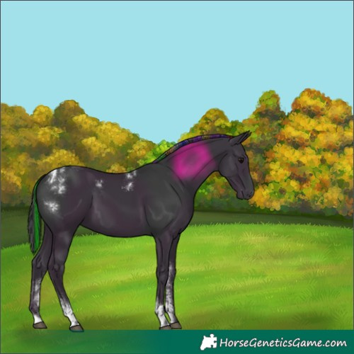 Horse Color:Powder White Painted Black Tobiano 