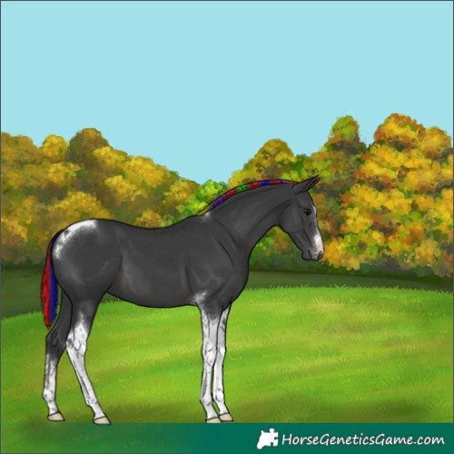 Horse Color:Painted White Spotted Black Tobiano 