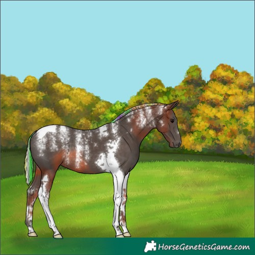 Horse Color:Powder White Painted Silver Black Tobiano 