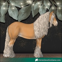 Horse Color:Palomino  and Palomino 