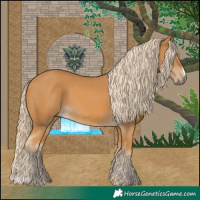 Horse Color:Palomino  and Palomino 