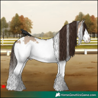 Horse Color:White Spotted Liver Red Dun Splash Rabicano