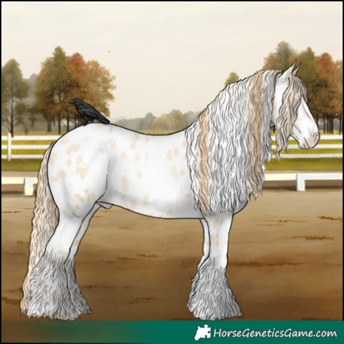 Horse Color:White Spotted Smoky Grullo Pearl Leopard 