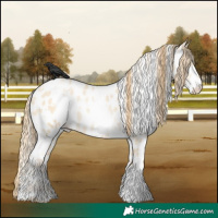 Horse Color:White Spotted Smoky Grullo Pearl Appaloosa 