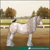 Horse Color:White Spotted Gold Champagne Varnish