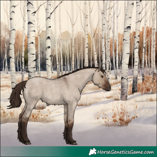 Horse Color:Liver Red Dun Roan Rabicano
