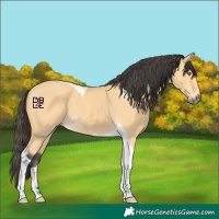 Horse Color:Buckskin Tobiano