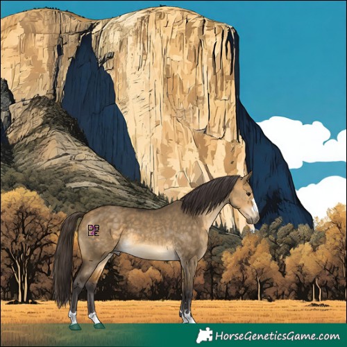 Horse Color:Buckskin Dun 