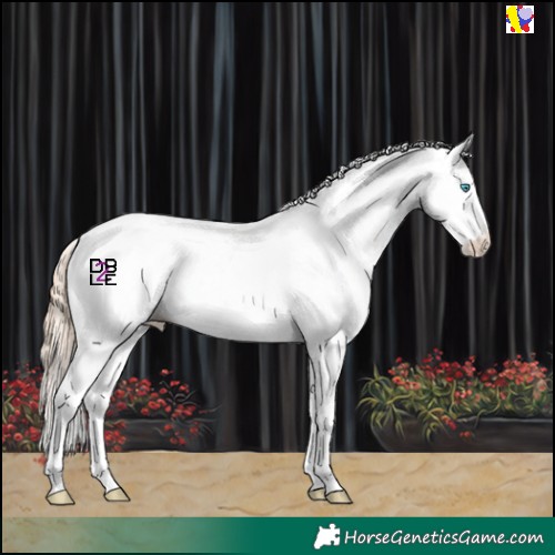 Horse Color:Amber Champagne Pearl Mushroom Sabino Appaloosa 