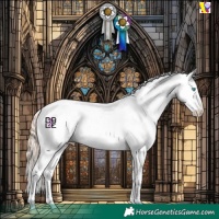 Horse Color:Amber Champagne Pearl Mushroom Sabino Appaloosa 