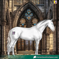 Horse Color:Amber Champagne Pearl Mushroom Sabino Appaloosa 