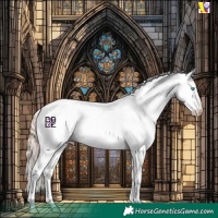 Horse Color:Amber Champagne Pearl Mushroom Sabino Appaloosa 