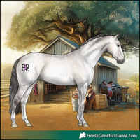 Horse Color:Gray Bay Ice Roan Onyx 