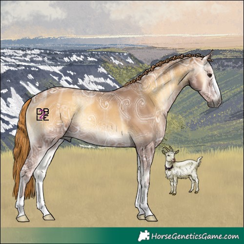 Horse Color:Gray Red Onyx Ice Rabicano 