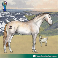 Horse Color:Gray Red Onyx Ice Rabicano