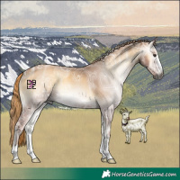 Horse Color:Gray Red Onyx Ice Rabicano 
