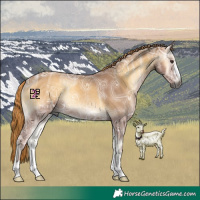 Horse Color:Gray Red Onyx Ice Rabicano