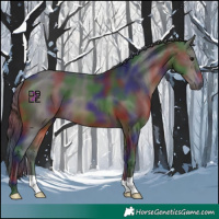 Horse Color:Nacre Bay 
