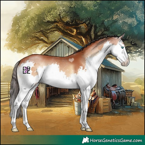 Horse Color:Bay Onyx Splash